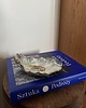 pojemniki na biżuterię Ceramiczna ostryga na obrączki, kolczyki, palo santo i drobne pamiątki 4
