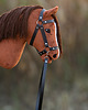zabawki - inne Hobby Horse + ogłowie + wodze 1