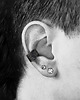 nausznice Nausznica na środek ucha srebro FOREST oksydowana 3