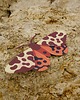 plakaty Plakat Garden Tiger Moth the butterfly - dekoracja ścienna 5