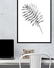 plakaty Plakat Botaniczny 1