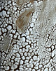 wazony Wazon Frosty Autumn 4