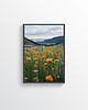 plakaty Plakat - Nature 5 2