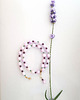 chokery Choker When Lavender Blooms 1