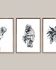 plakaty Zestaw trzech grafik z ptakami - rysunki A3 , czarno białe w formie plakatów 1