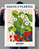 plakaty Plakat botaniczny "Madryt" 1