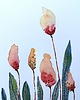 obrazy Akwarela Kwiaty Tulipany oryginalny obraz A5 21x15 cm 2