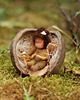 figurki i rzeźby Elf- Waldorf Toys 1