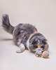 Zabawki dla zwierząt Zestaw szydełkowych zabawek dla kota TURTLE 1