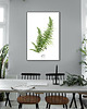 plakaty Plakat Paproć { 50x70 cm} 1