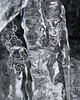 wisiory Lisia magia - zima 2