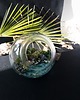 dodatki - różne Terrarium natura zamknięta w szkle 1