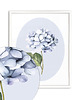 obrazy Niebieska Hortensja - grafika botaniczna 3