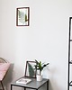inne Pteris Fern Light Green XL 2