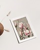 plakaty Plakat Magnolia 2