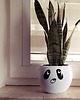 doniczki Doniczka kula - panda 1