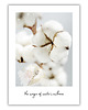 plakaty Plakat Winter's embrace 1