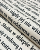 szale damskie NOWOŚĆ: Szalik z "Lalką" Bolesława Prusa 5