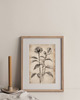 grafiki i ilustracje ZESTAW 3 PLAKATÓW beżowe botaniczne vintage 1