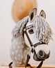 zabawki - inne Realistyczny Hobby Horse 1