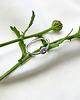pierścionki srebrne Reserved- Rosa & Daisy ring 1