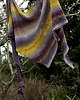 szale damskie Słońce w jagodach / Cotone colorato 1