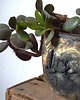 doniczki Z ZIEMI_doniczka ceramiczna_morska 3