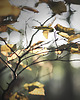 fotografia Zestaw 8 fotografii 3