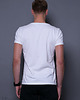 t-shirty męskie T-shirt męski HIPCIO 2
