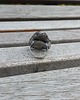 pierścionki - różne Wielka sprawa - pierścionek regulowany 3