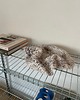 pojemniki na biżuterię WAVY no. 2 podstawka na biżuterię / palo santo/ dekoracja 1