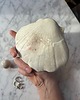 pojemniki na biżuterię Podstawka na Biżuterię Palo Santo Ceramiczna Muszelka Mleczna Biel 6