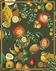 grafiki i ilustracje Citrus  40x50 - kolaż, plakat 2