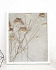 plakaty Plakat - botaniczny, boho 3