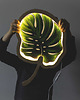 lampy do pokoju dziecka Lampka ścienna Unky - LIŚĆ Monstera 1