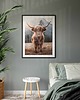 plakaty Plakat krowa szkocka 1