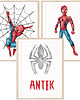 obrazy i plakaty do pokoju dziecięcego Zestaw 3 plakatów Spiderman, metryczka, imię dziecka Wzory 2