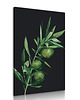 obrazy Obraz na płótnie GAŁĄZKA OLIWNA 70x100cm 2