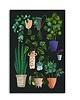 obrazy OBRAZ NA PŁÓTNIE -  50x70 PLANTS 2