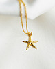 złote naszyjniki Naszyjnik złota rozgwiazda, wspomnienie lata 3