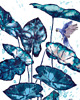 naklejki ścienne do pokoju dziecka Tapeta dla dzieci Niebieskie Papugi ( Blue Parrot) 1