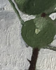obrazy Pilea - obraz olejny 2