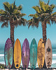 plakaty Plakat - Surf Time 2