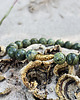 biżuteria męska Bransoletka  męska Serpentynit 2
