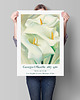 plakaty Georgia O'Keeffe - Exhibition Poster 1