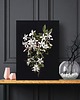 plakaty Plakat Black Flower 2