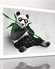 obrazy i plakaty do pokoju dziecięcego OBRAZ NA PŁÓTNIE -  80x60cm PANDA 1