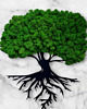 dodatki - różne Drzewko bonsai życia mech chrobotek dekoracja obraz 2