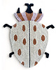 pokój dziecka - różne Dywan wełniany Max beetle 120 x 96 cm handtufted 3