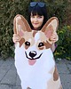 dywany Dywan w kształcie psa, welsh corgi 3